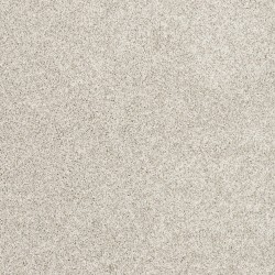 Grey Whisp color swatch