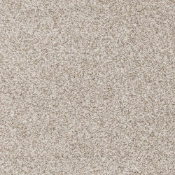 Coconut color swatch