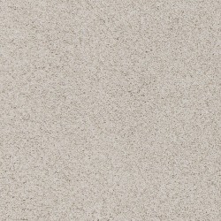 Canine Comfort - Canvas Cloth