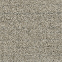 Tawny Silk color swatch