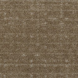 Warm Sand color swatch
