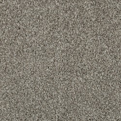 Snow Path color swatch