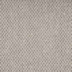 Crane Grey color swatch
