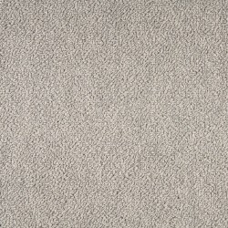 Crane Grey color swatch
