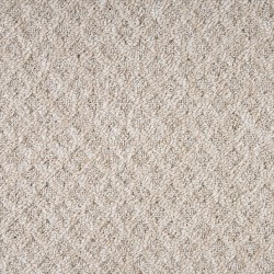 Fossil Stone color swatch