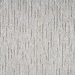 Sleek Silver color swatch
