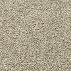 Bone color swatch
