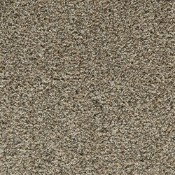 Barn Owl color swatch