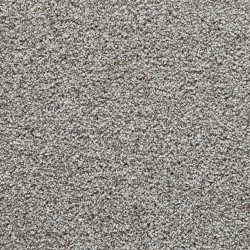Oyster color swatch