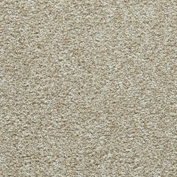 Coconut color swatch