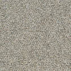 Oyster color swatch