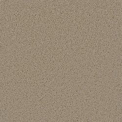 Satinwood