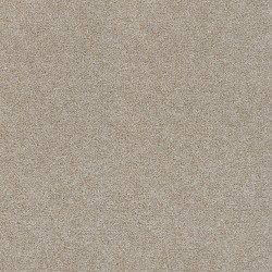 Beach Sand