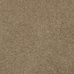 Earth Stone