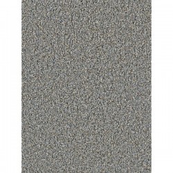 Shadows