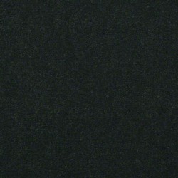 Mountain Pine