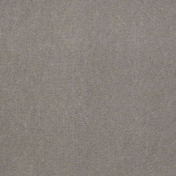Gray Hare