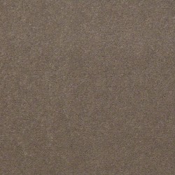 Top Taupe