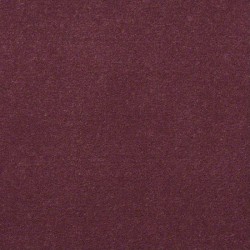 Mulberry Plum