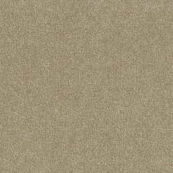 Foxwood II - Cashmere