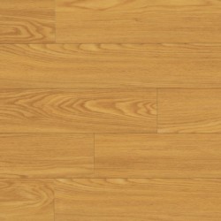 Rocky Mountain Oak