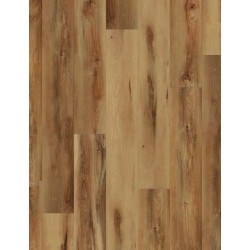 Belmont Hickory