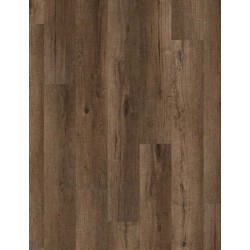Chandler Oak
