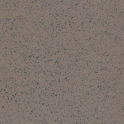 Pumice Stone