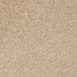 Crisp Linen
