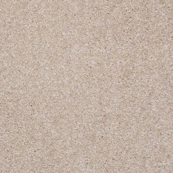 Baby\'s Breath
