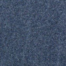 Instant Winner - Academy Blue