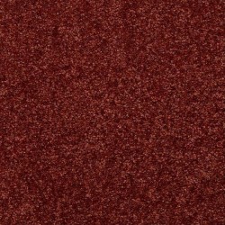 Deep Coral
