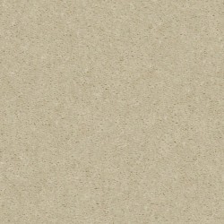 Quiet Beige