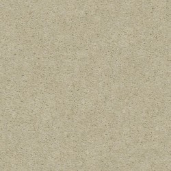 Coastal Sand