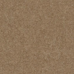Kansas Soil
