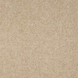 Bleached Straw