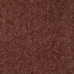 Dried Clay