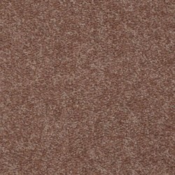 Moccasin