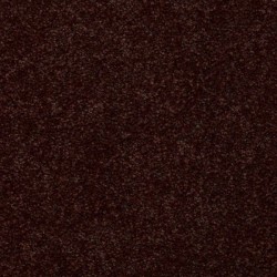 Cocoa Powder