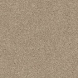 Sand Dollar color swatch