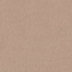 Sheer Ecru color swatch
