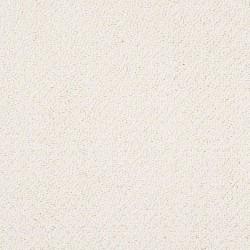 Ivory Lace