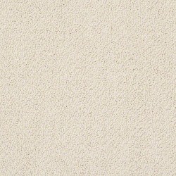Traditional Elegance - Custard