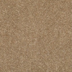 Scalloped Shell
