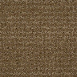 Fresh Khaki