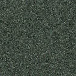 Going Green color swatch