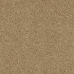 Wild Dune color swatch