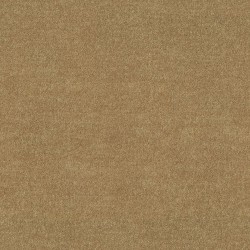 Cider color swatch