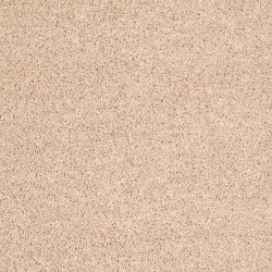Crumpet color swatch