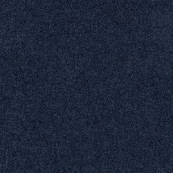 Evening Sky color swatch